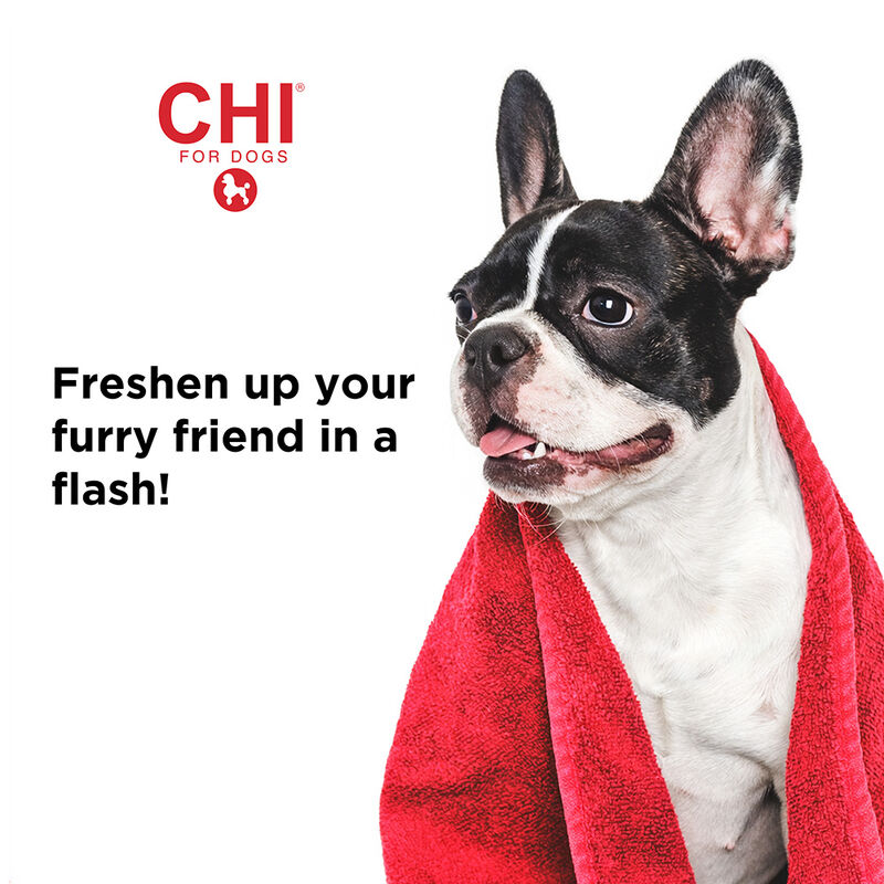 CHI For Dogs Deodorizing No Rinse Foam, , large image number null